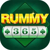 Rummy 365 icon